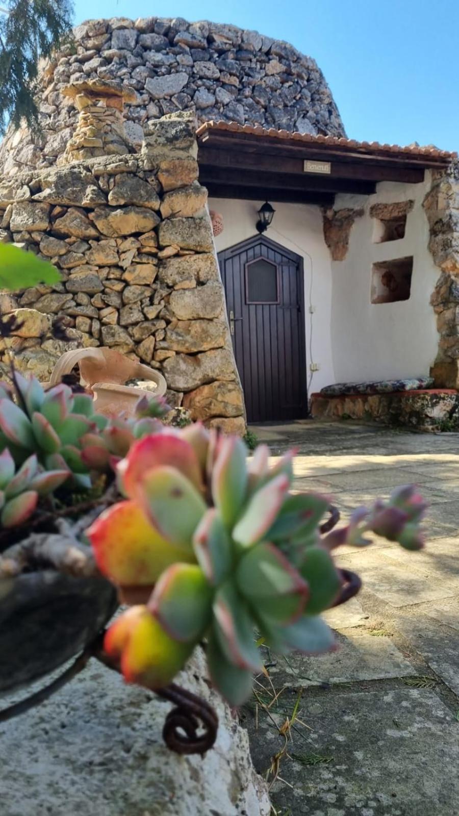 Bed and Breakfast Trullo Salento Galatone Zewnętrze zdjęcie